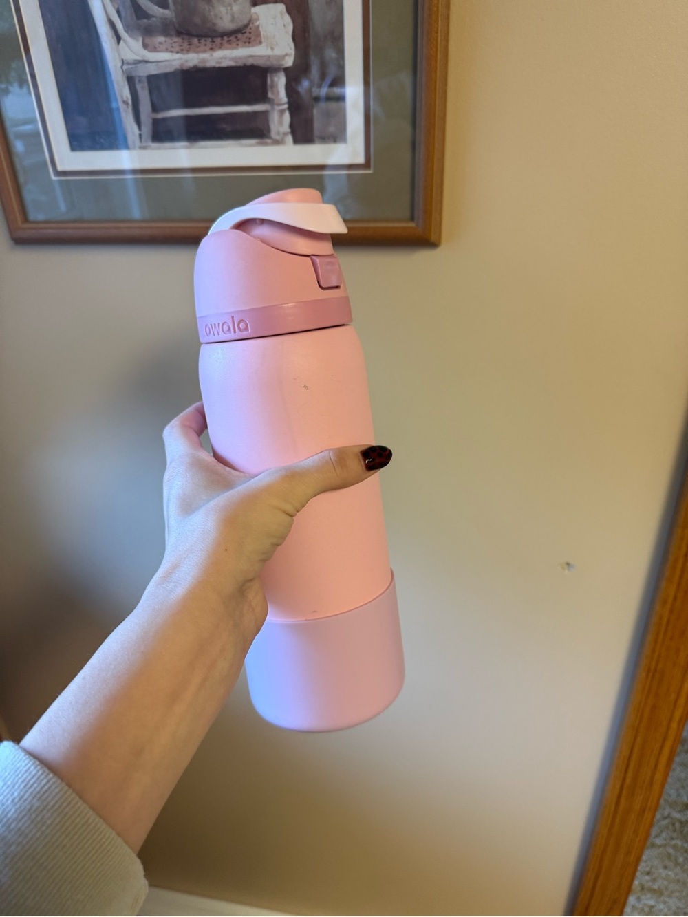 Pink owala Insulated Water Bottle - Sleek Travel Bottle